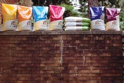 Seed Blends